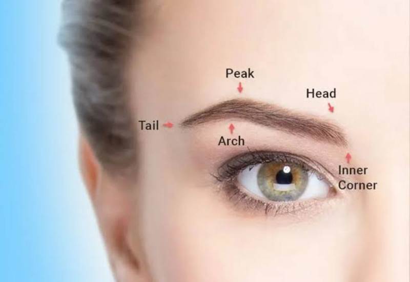 Eyebrow Transplant FollicleX